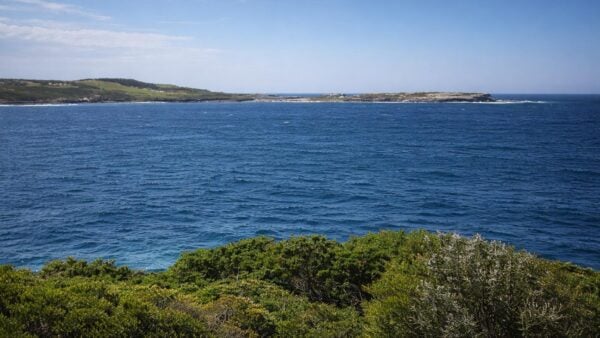 Muru and yena tracks