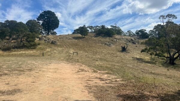 Southern ridge track to mount beckworth summit