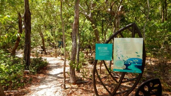 Chance bay track, whitsunday islands national park, queensland