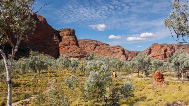 Bloodwoods lookout, purnululu national park, western australia