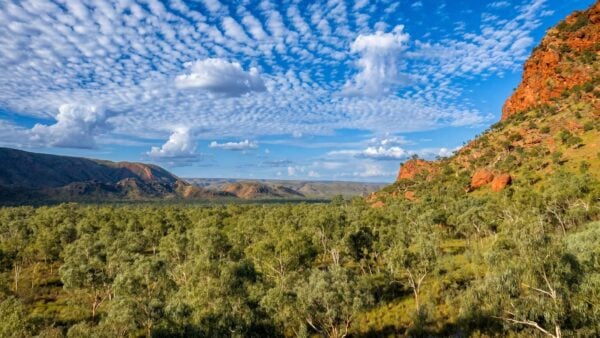 Osmand lookout walk, purnululu national park, western australia