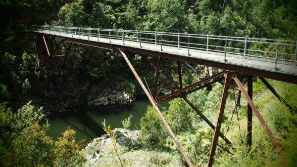 Poverty point bridge hike