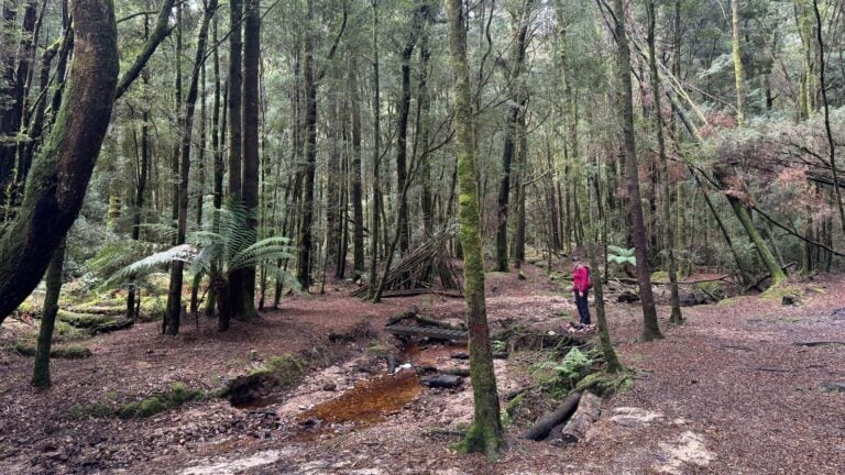 Savage river and link track