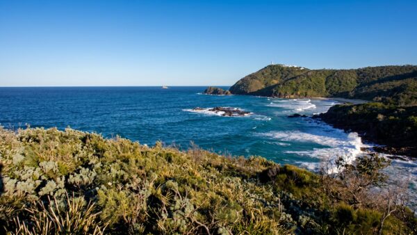 Smoky cape range walking track