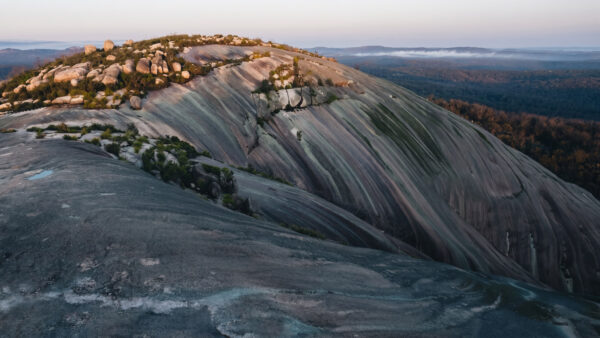 Bald rock summit walking track (2. 7km)