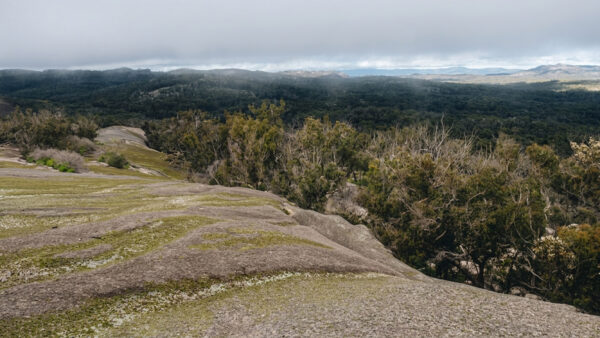 Little Bald Rock Walking Track (6.5km) Little bald rock walking track (6. 5km)