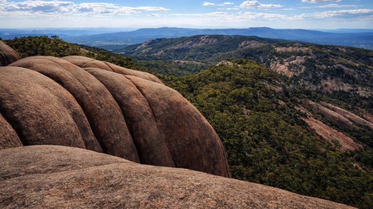Mount Norman Track (11km) Mount norman track (11km)