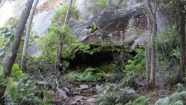 Dripping Rock and the Overhang Walk (3.2km) Dripping rock and the overhang walk (3. 2km)