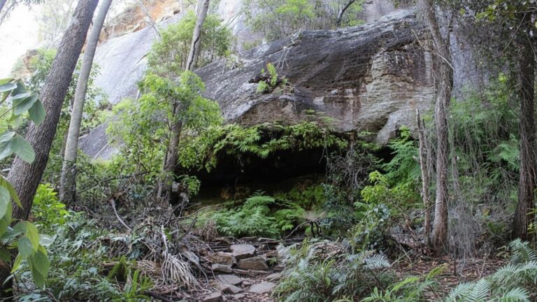 Dripping Rock and the Overhang Walk (3.2km) Dripping rock and the overhang walk (3. 2km)