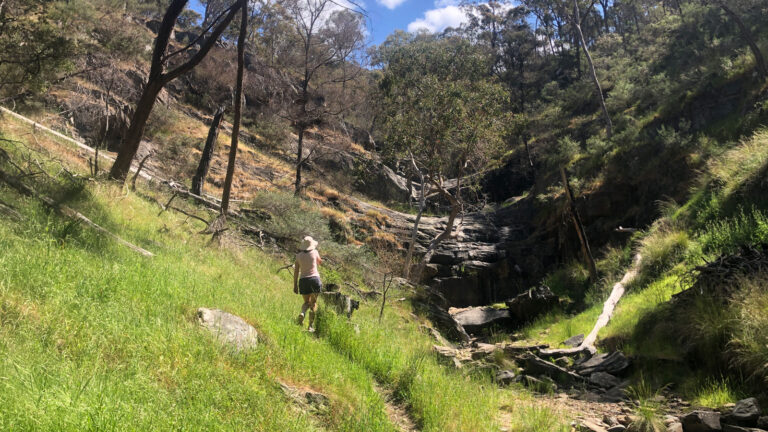Valley walk (avoca waterfall walk)